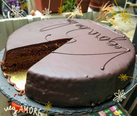 vegan sacher vegamore